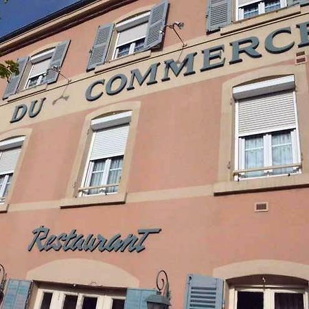 Hotel Du Commerce Pont-de-Vaux Esterno foto